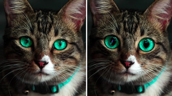 Reshape and retouch photos in BeFunky