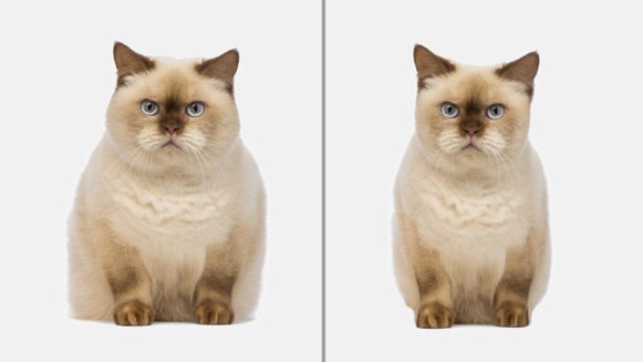 how to reshape photos in BeFunky